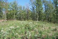 Land in Stone County, Arkansas