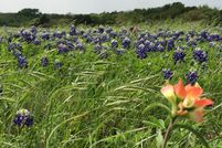 Commercial Property in McLennan County, Texas