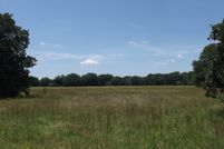 Undeveloped Land in Henderson County, Texas