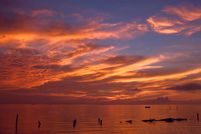 Farm and Ranch in Chambers County, Texas