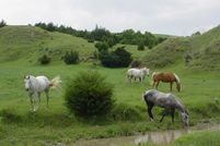 Land in Dawson County, Nebraska
