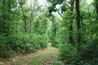 Land in Pike County, Missouri