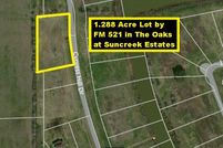 Timberland Property in Brazoria County, Texas