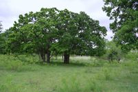 Undeveloped Land in Denton County, Texas