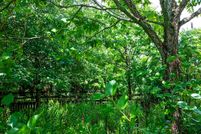 Homesite in Harris County, Texas