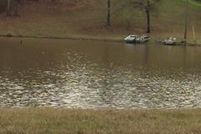 Timberland Property in Copiah County, Mississippi