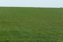 Farm and Ranch in Reno County, Kansas