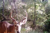 Land in Rains County, Texas