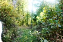 Farm and Ranch in Pike County, Missouri