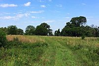 House in Van Zandt County, Texas