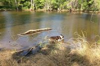 Farm and Ranch in Grayson County, Texas