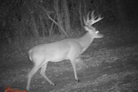 Riverfront Property in Limestone County, Texas