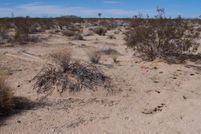 Farm and Ranch in San Bernardino County, California