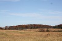 Farm and Ranch in Frederick County, Virginia