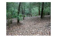 Land in Douglas County, Georgia