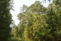 Farm and Ranch in San Augustine County, Texas