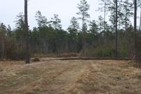 Undeveloped Land in Pike County, Arkansas