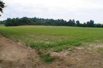 Farm and Ranch in Clay County, Arkansas