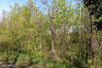Undeveloped Land in Warren County, Virginia
