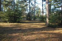 Undeveloped Land in Houston County, Texas