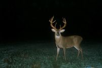 Land in Jefferson County, Mississippi