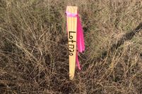 Land in Comal County, Texas