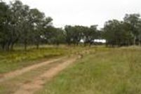 Land in Lavaca County, Texas