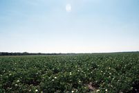 Farm and Ranch in Ellis County, Texas