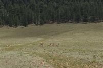 Land in Park County, Colorado