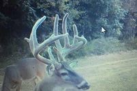 Recreational Property in Saint Francis County, Arkansas