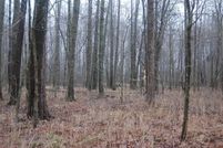 Homesite in Clermont County, Ohio