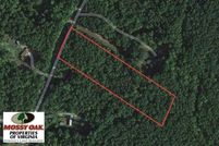 Land in Amherst County, Virginia