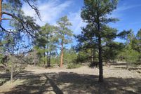 Hunting Property in Cibola County, New Mexico
