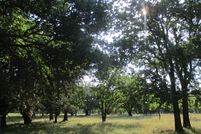 Farm and Ranch in Bandera County, Texas