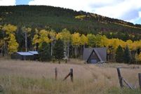 Timberland Property in Larimer County, Colorado