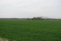 Farm and Ranch in Barnwell County, South Carolina
