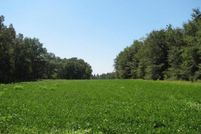 Farm and Ranch in Calhoun County, South Carolina