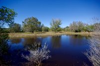 Farm and Ranch in Sarasota County, Florida
