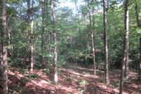 Farm and Ranch in Baxter County, Arkansas