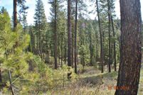 Farm and Ranch in Boise County, Idaho