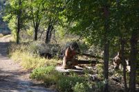 Land in Grant County, New Mexico