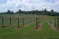 Land in Hancock County, Tennessee