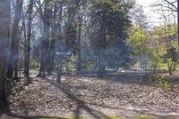 Land in Wicomico County, Maryland