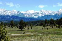 Timberland Property in Archuleta County, Colorado