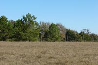 Farm and Ranch in Milam County, Texas