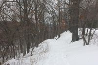 Timberland Property in Muskegon County, Michigan