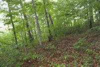 Land in Hart County, Kentucky