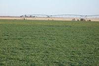 Farm and Ranch in Parmer County, Texas