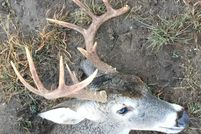 Land in McCulloch County, Texas