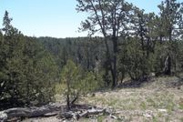 Farm and Ranch in Custer County, South Dakota